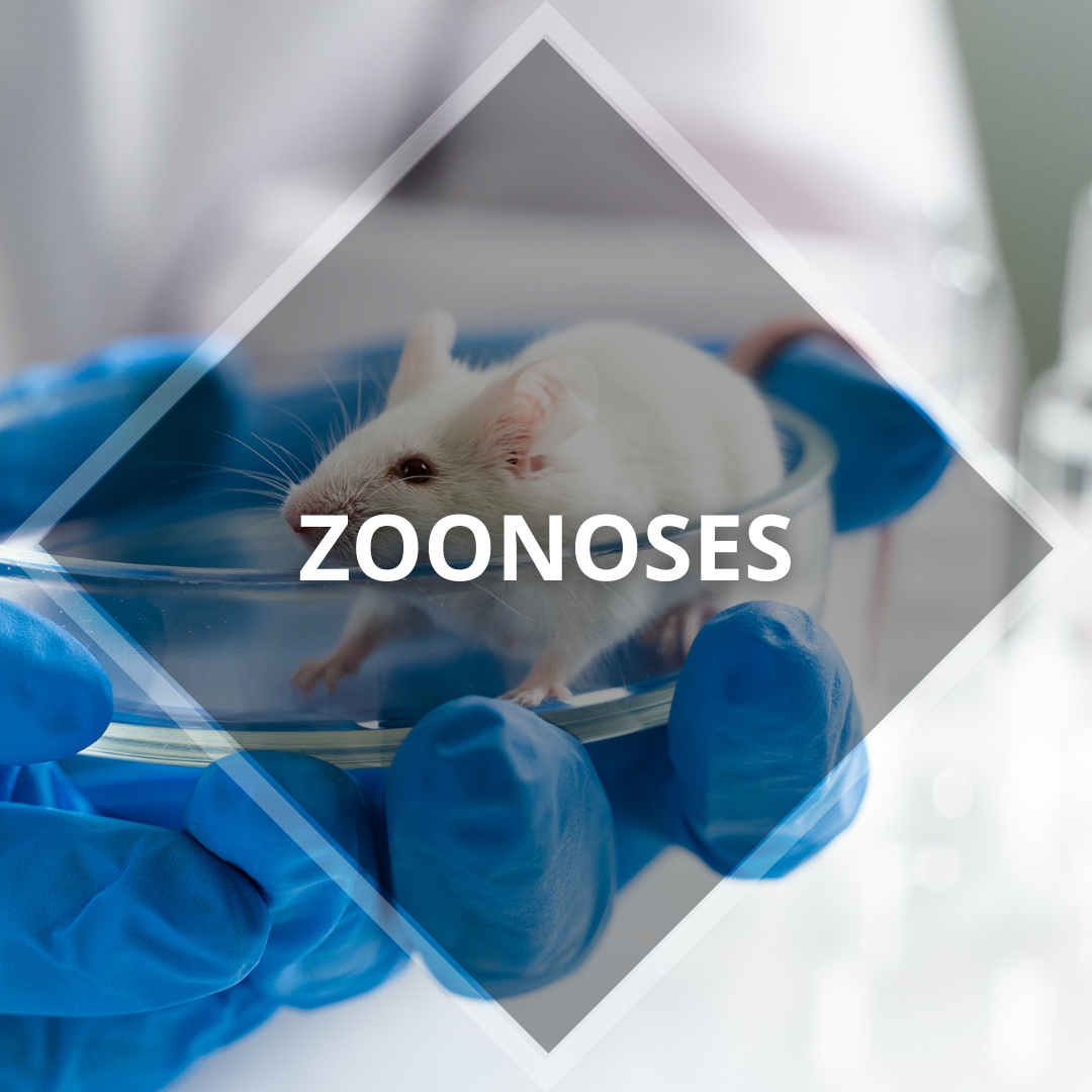 Zoonoses (2)